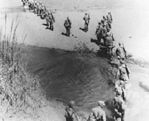 Alamo Scouts leading Army Rangers to Cabanatuan POW Camp. January 1945.